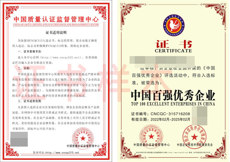 中国百强优秀企业