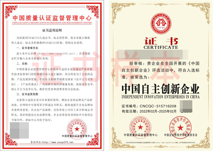 中国自主创新企业