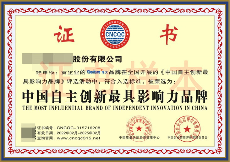 中国自主创新最具影响力品牌