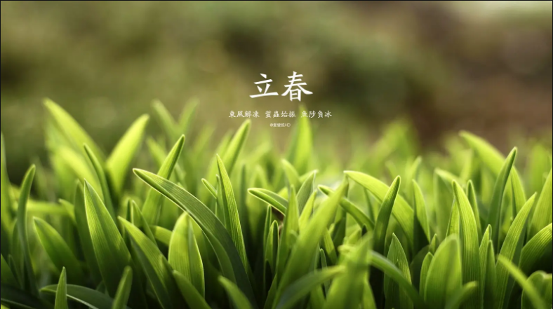 天地立春 人生立志